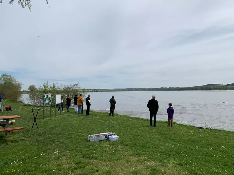 vilstalstausse bild 11